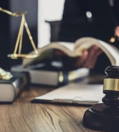 TestLaw Export Support